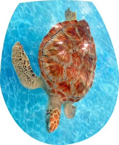 מדבקה לאסלה מתחת לים