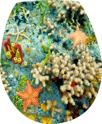 מדבקה לאסלה מתחת לים