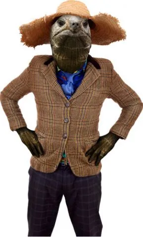 מדבקת קיר | צב מצוברח