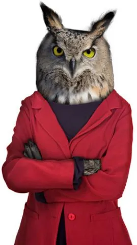 מדבקת קיר | ינשופית קשוחה