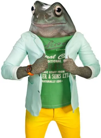 מדבקת קיר | צפרדע מגניב