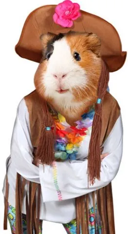 מדבקת קיר אוגרת היפית