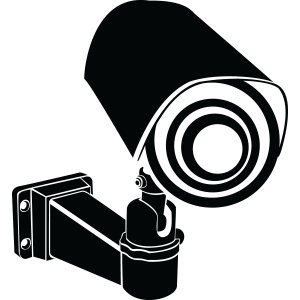 מדבקת קיר דמוי מראה | נוצה עדינה