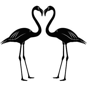 מדבקה לזכוכית | ויטראז'