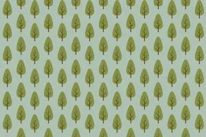 טפט מדבקה | קקטוסים