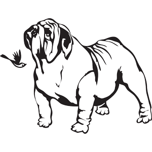 מדבקה - רעיון טוב