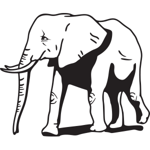 סט מדבקות קיר | הגינה שלנו