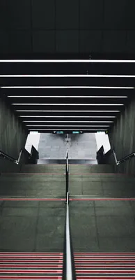 מדבקה לדלת | שביל בפארק