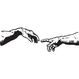 מדבקת קיר | פרחי פרג