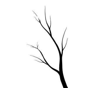 סט מדבקות קיר | הגינה שלנו