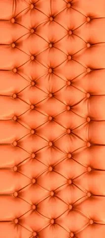 מדבקה לדלת ספה מעור