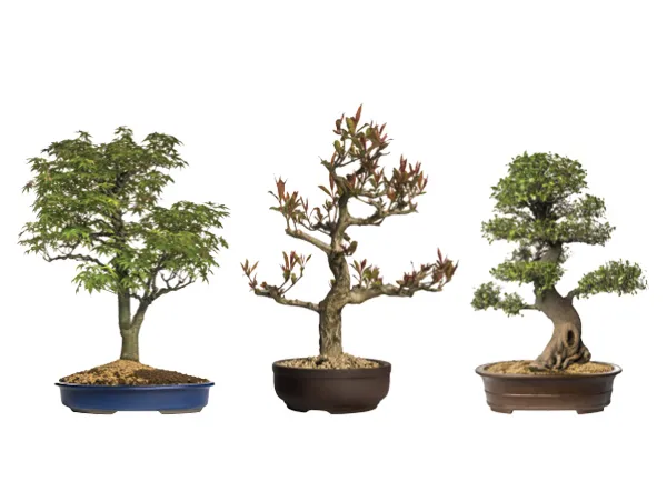 מדבקה לרכב - אל תיגע לי באוטו