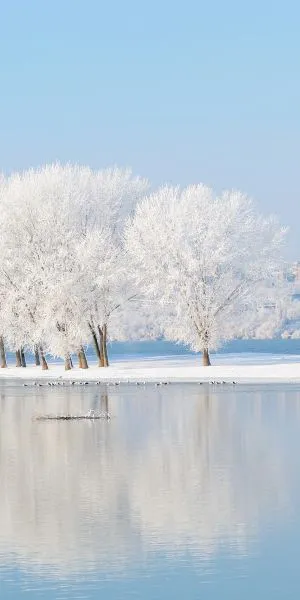 טפט רהיטים | אריחים אנגליים