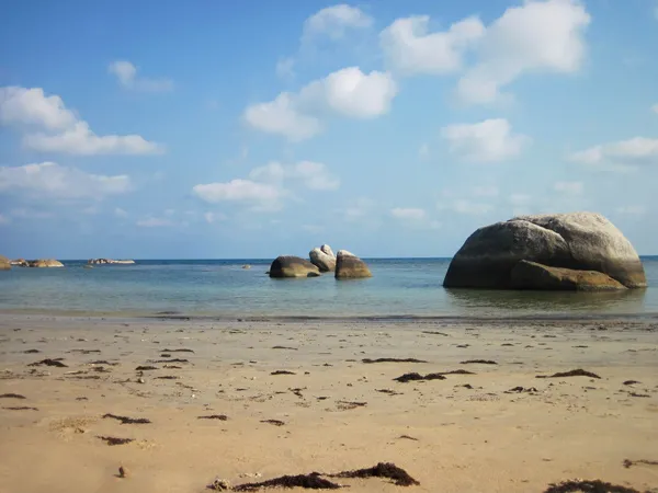 טפט של חוף ים