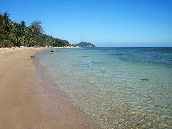 טפט חוף ים צלול