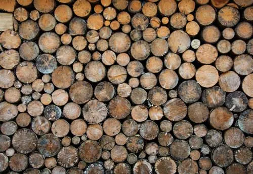 טפט | בולי עץ