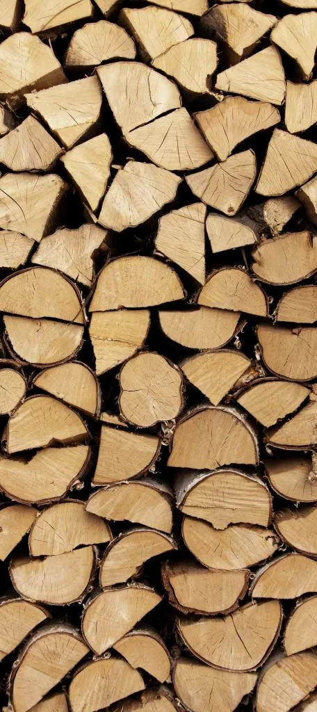 טפט דלת גזעים מעוצבת