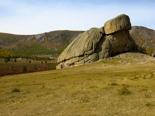 טפט קיר - סלע צב