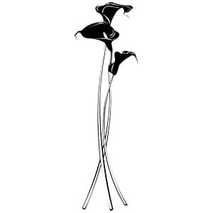 סט מדבקות קיר | לוטוס