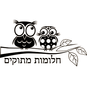 תלך אחרי החלומות שלך