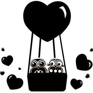 זוג ינשופים מאוהבים בכדור פורח