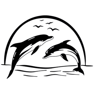 מדבקת קיר | זוג דולפינים