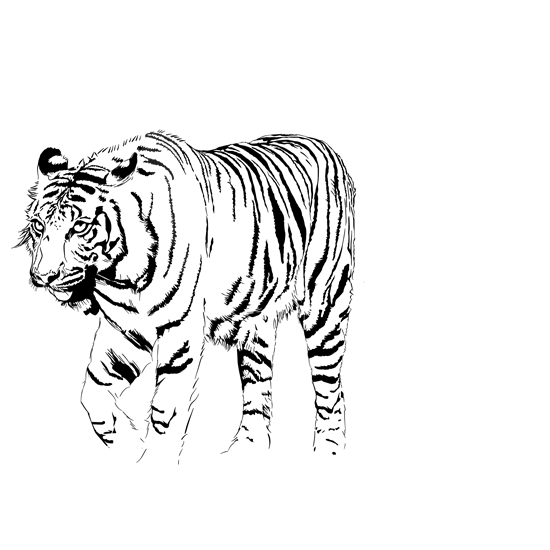 מדבקת קיר | פרפר מעוטר