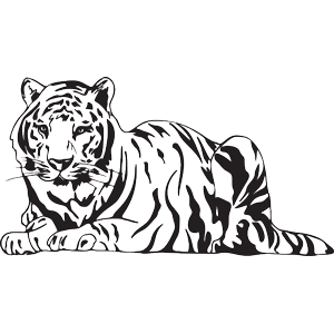 מדבקת קיר | חלון לחלל