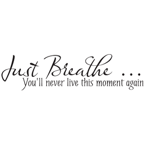 תלך אחרי החלומות שלך