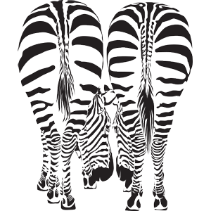 מדבקת קיר | ציפורים מתעופפות מעץ