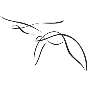 מדבקות אריחים | מרובעים