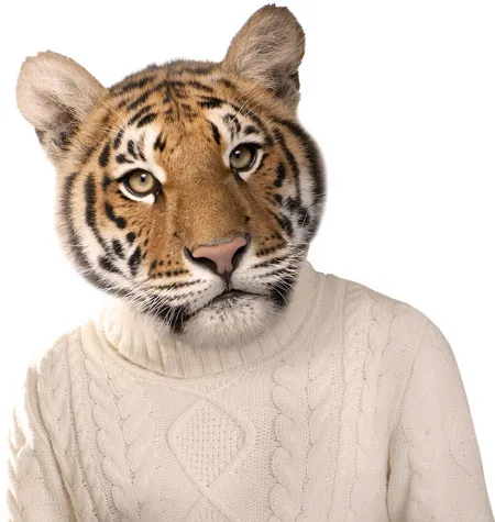 מדבקת קיר | נמר בסוודר