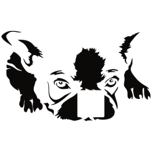 כלב חמוד לשקע