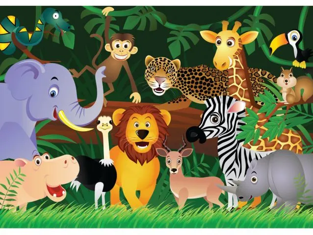 טפט כוכבים אפורים