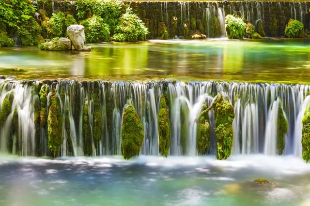 טפט מדבקה | פרחים אפורים