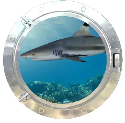 כריש במצולות