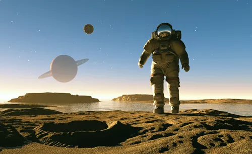 טפט מדבקה | קקטוסים