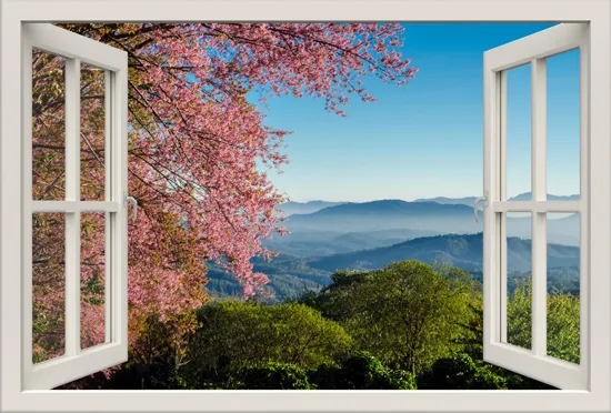 מדבקת חלון 3D | מכבי חיפה נגד מכבי ת"א