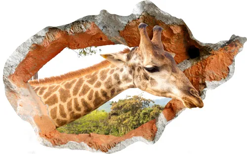 מדבקת קיר | ג׳ירפה חמודה