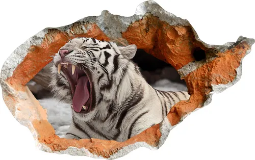 מדבקת קיר 3D | נמר שואג