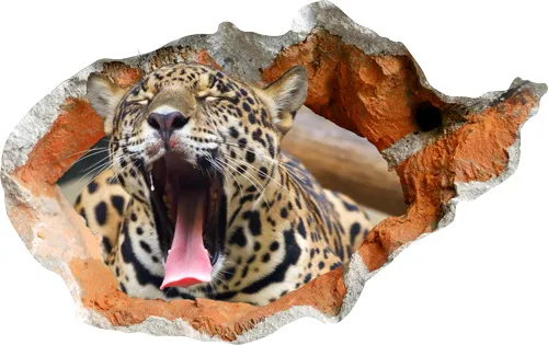 מדבקת קיר 3D | נמר מנומנם