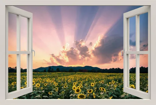 מדבקת חלון 3D | משפחת פילים