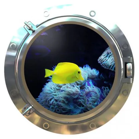 3D window- עתיד בחלון