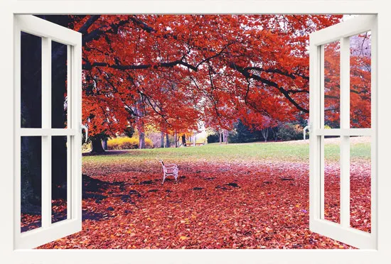 מדבקת חלון 3D | מכבי חיפה נגד מכבי ת"א