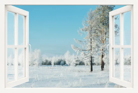 מדבקת חלון 3D | משפחת פילים