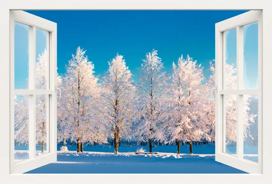מדבקת חלון 3D | עצים מושלגים