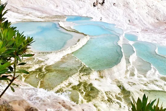 טפט עץ בשלכת לסלון