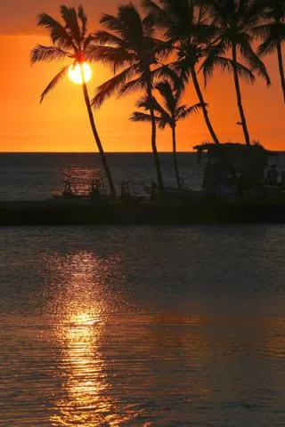 טפט - כוורת תלת מימדית ואור אדום