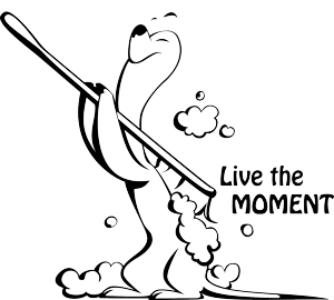 מדבקה לזכוכית | ויטראז'