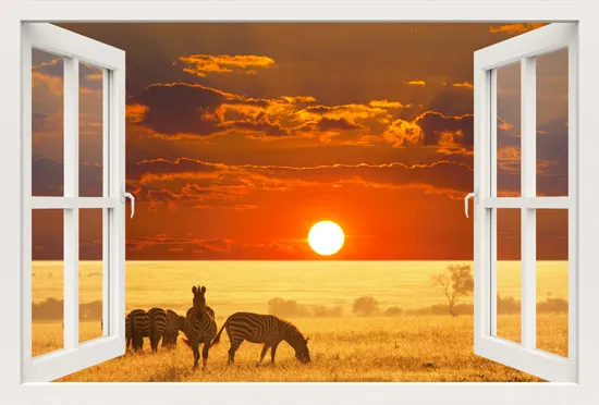 מדבקת חלון 3D | שקיעה בספארי